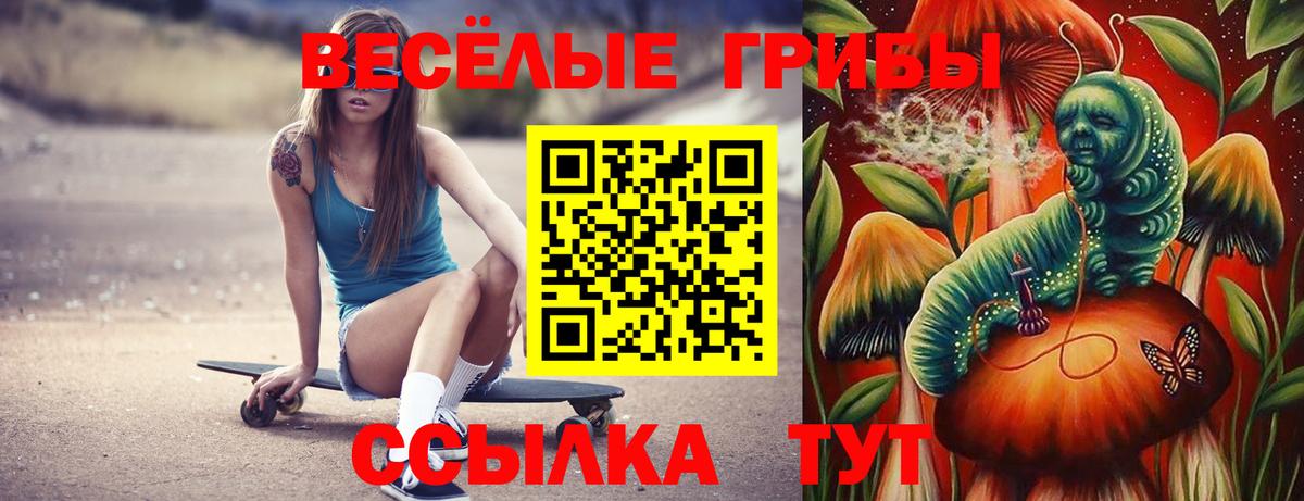 Галлюциногенные грибы Psilocybine cubensis Подольск